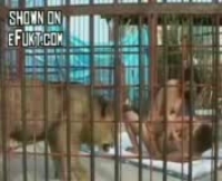 очень красивый домашний секс	
