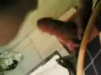 seks video kino
