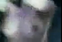 uz seks video
